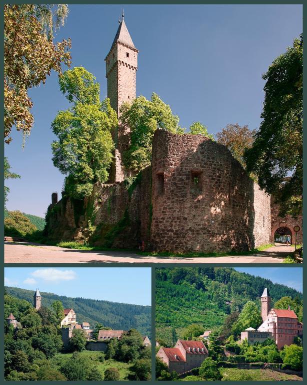 Schlosshotel Hirschhorn Esterno foto