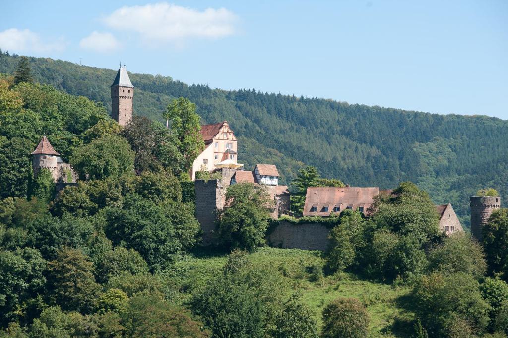Schlosshotel Hirschhorn Esterno foto